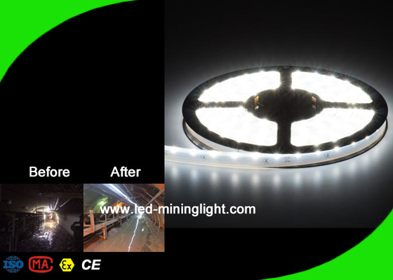 16W / M LED أضواء الشريط المرن أضواء الشريط LED عالية التجويف خدمة OEM ODM