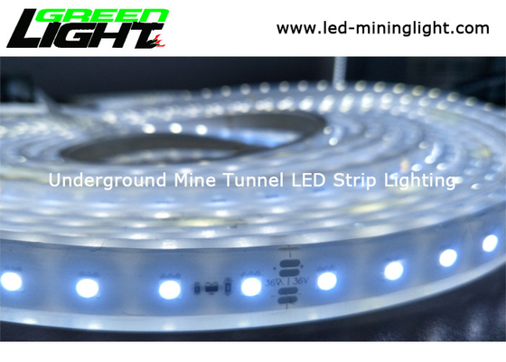 نطاق قياسي من السيليكون LED شريط مرن أضواء DC 24V مقاوم للماء IP68 توفير الطاقة