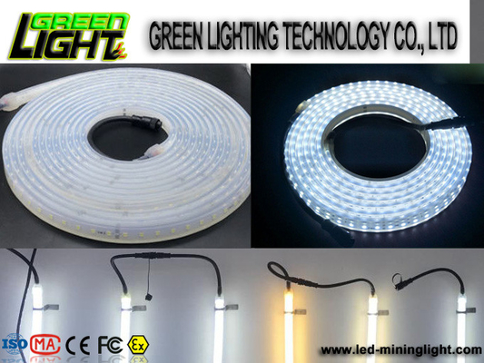 سيليكون 12 واط Ip68 SMD5050 شرائط إضاءة LED مرنة