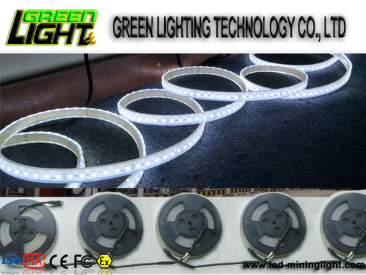 سيليكون 12 واط Ip68 SMD5050 شرائط إضاءة LED مرنة