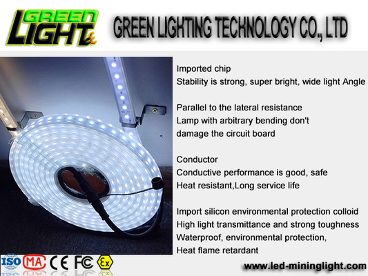 سيليكون 12 واط Ip68 SMD5050 شرائط إضاءة LED مرنة