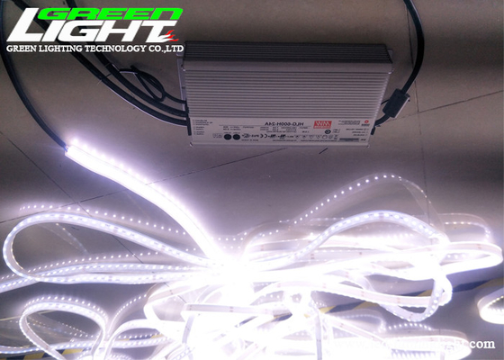 DC36V 20m / Roll 12W 72LEDs / M أضواء شريط مرنة LED