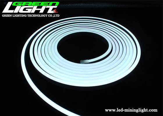 نيون 4200K 12W / M RGB LED حبل ضوء 12VDC للخارجية